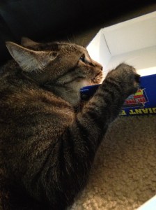Gilligan laying on a kid's puzzle box top